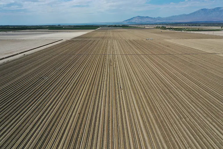 2021-07-06T185842Z-651893365-RC2MDO92QEX5-RTRMADP-3-CALIFORNIA-DROUGHT