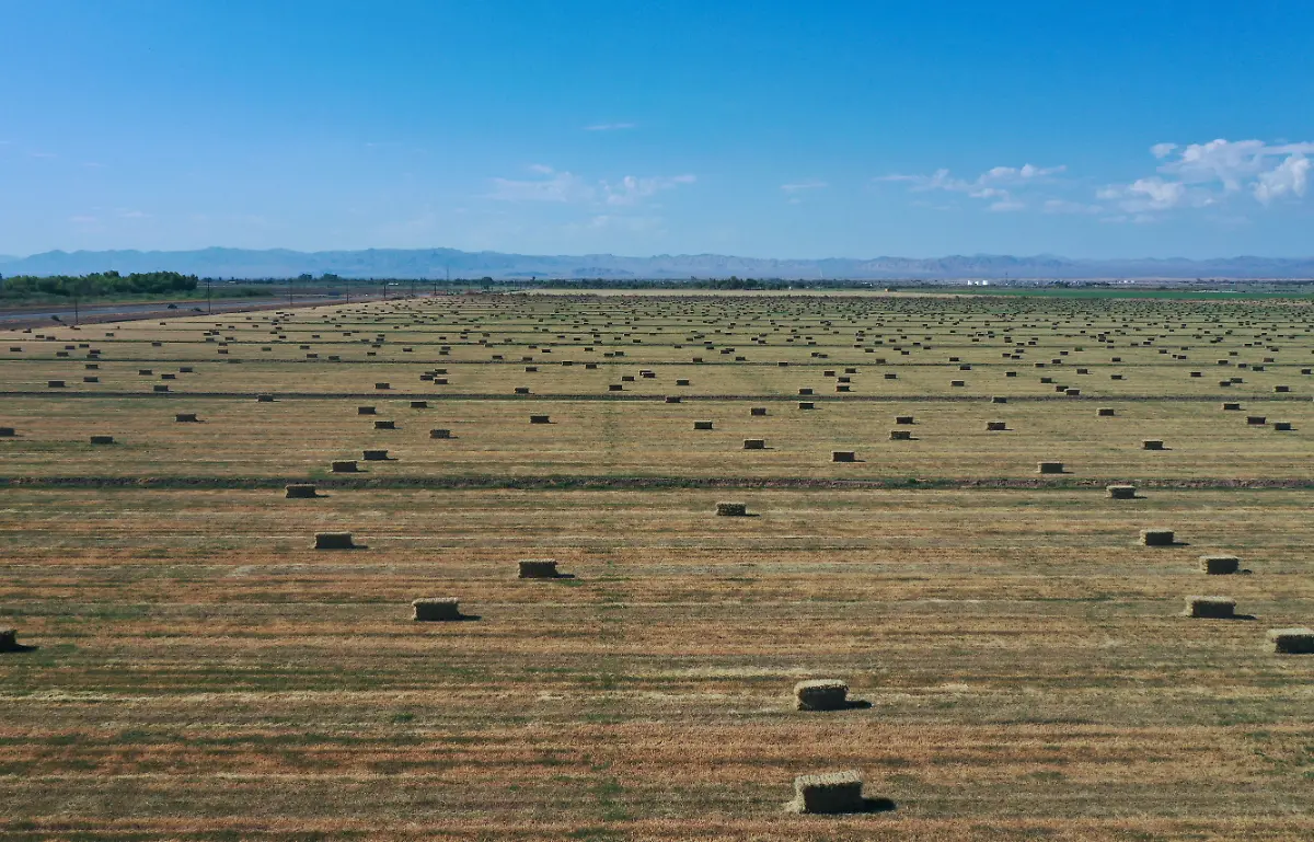 2021-07-06T173716Z-1776747394-RC2SDO9IZVO1-RTRMADP-3-CALIFORNIA-DROUGHT