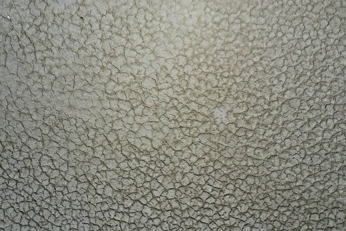 2021-07-06T173355Z-1078193088-RC2QDO9B3HOL-RTRMADP-3-CALIFORNIA-DROUGHT