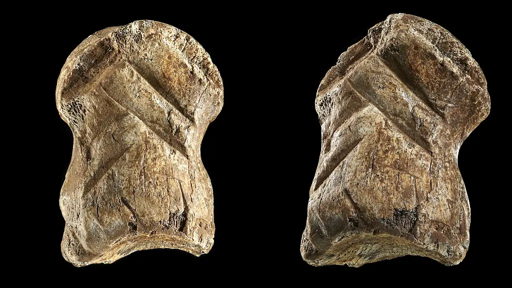 debb87ede9d355f953be1b4f2af5b9b6