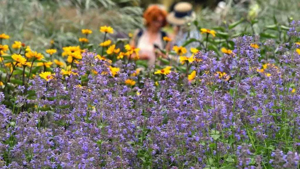 Blumen-bluehen-auf-dem-Gelaende-der-Bundesgartenschau-im-egapark-wo-am-selben-Tag-die-Themenwoche-Schaetze-der-Natur-beginnt