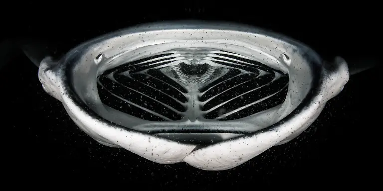 web-1st-Grant-Thomas