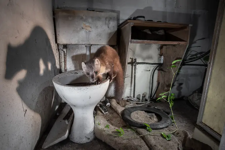 web-2nd-James-Roddie