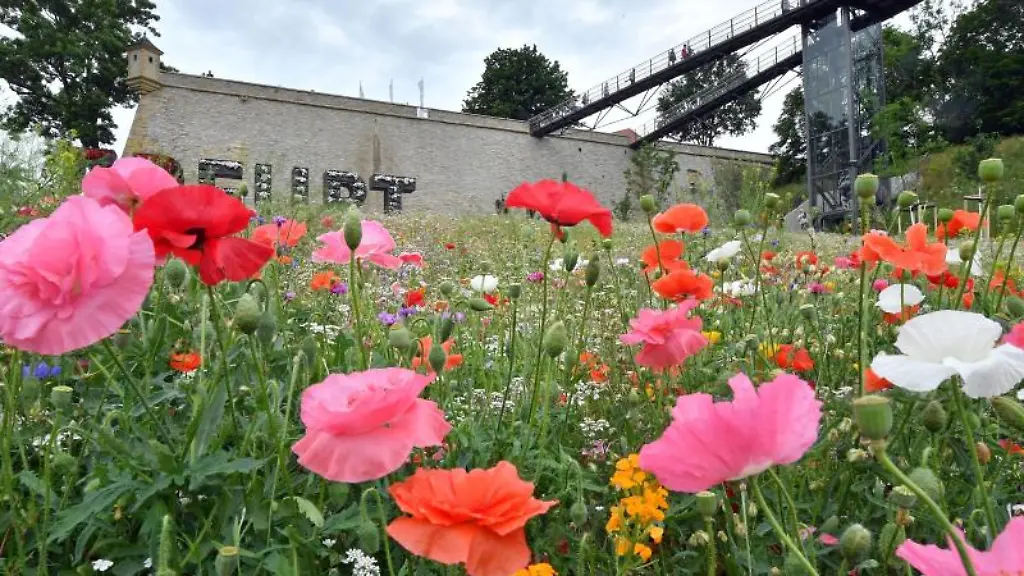 Die-neugebaute-Aufzugsanlage-an-der-Festung-Petersberg
