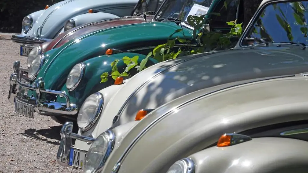 Verschiedene-VW-Kaefer-stehen-nebeneinander