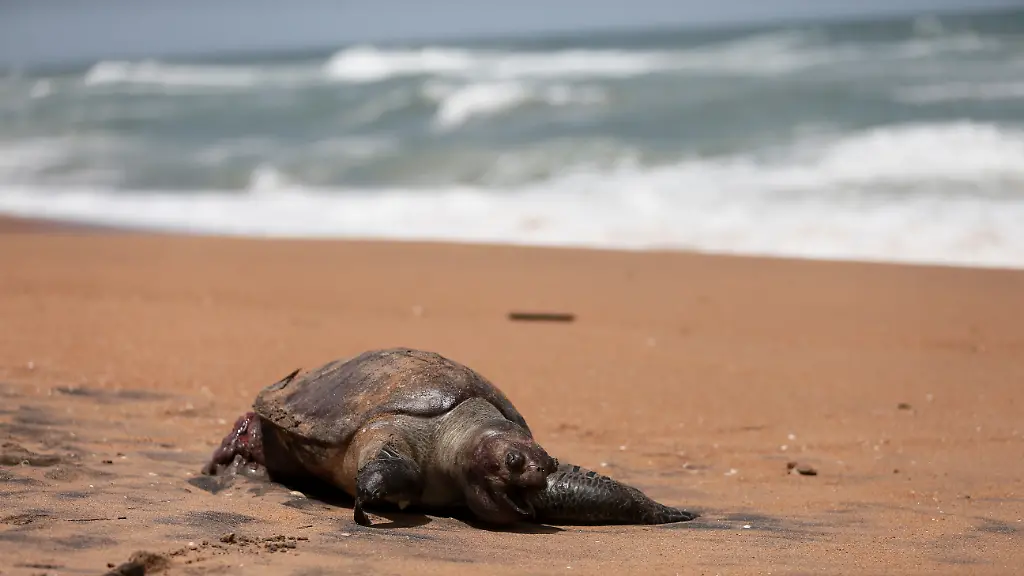 d4aad0975cfabeabdee59df28b22accf