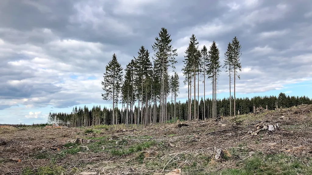 00ad66513da239e25af6b18d61061550