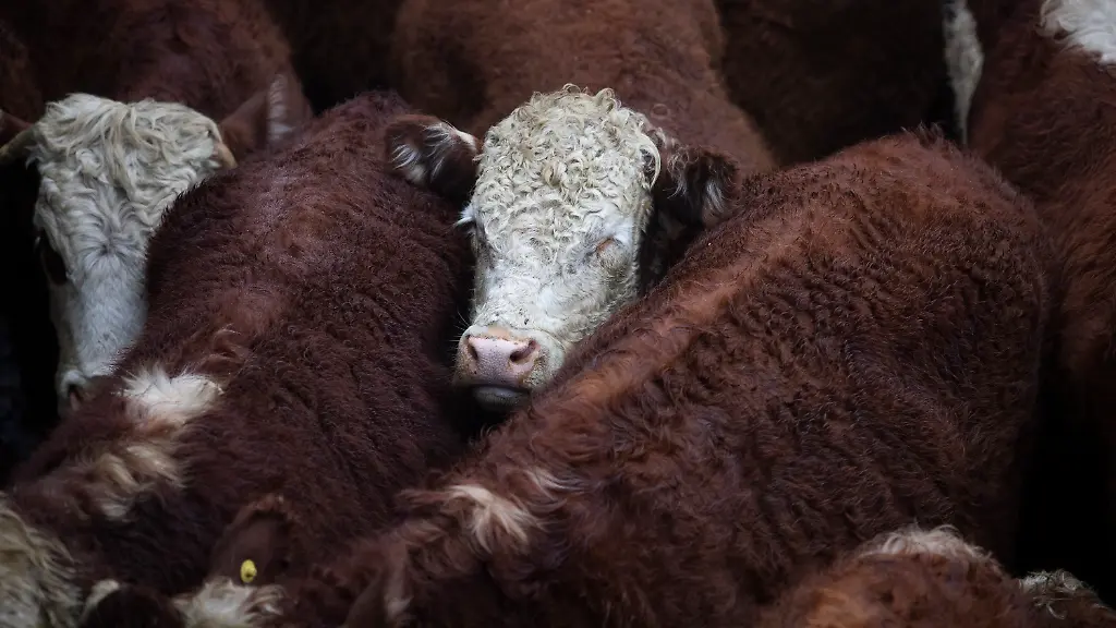 62e6fe8eb4c78015e3c9c4a76a74b89d