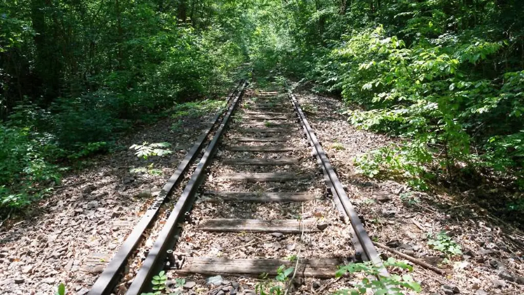 Teilweise-zugewachsene-Bahnschienen-der-Stammbahn-nahe-der-Berlepschstrasse
