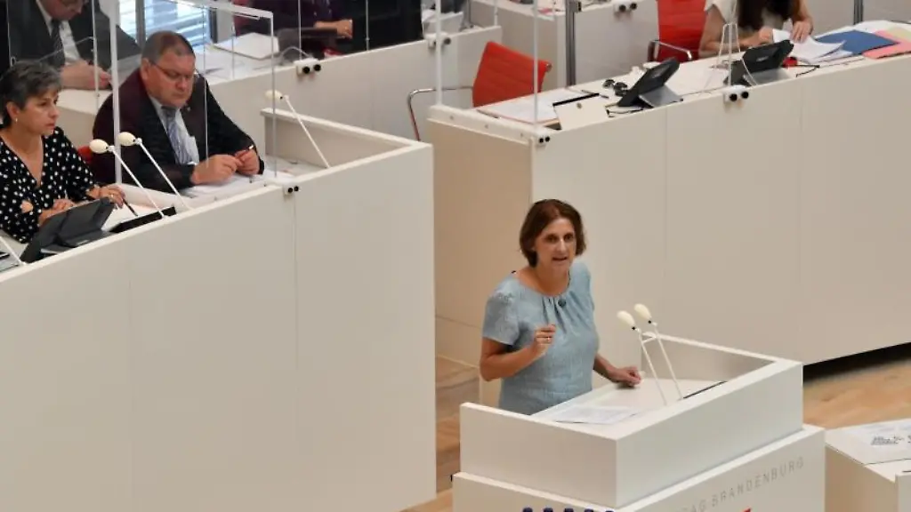 Britta-Ernst-SPD-spricht-in-der-Debatte-des-Landtages