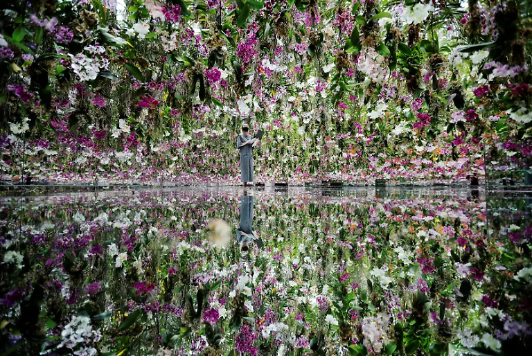 Floating-Flower-Garden