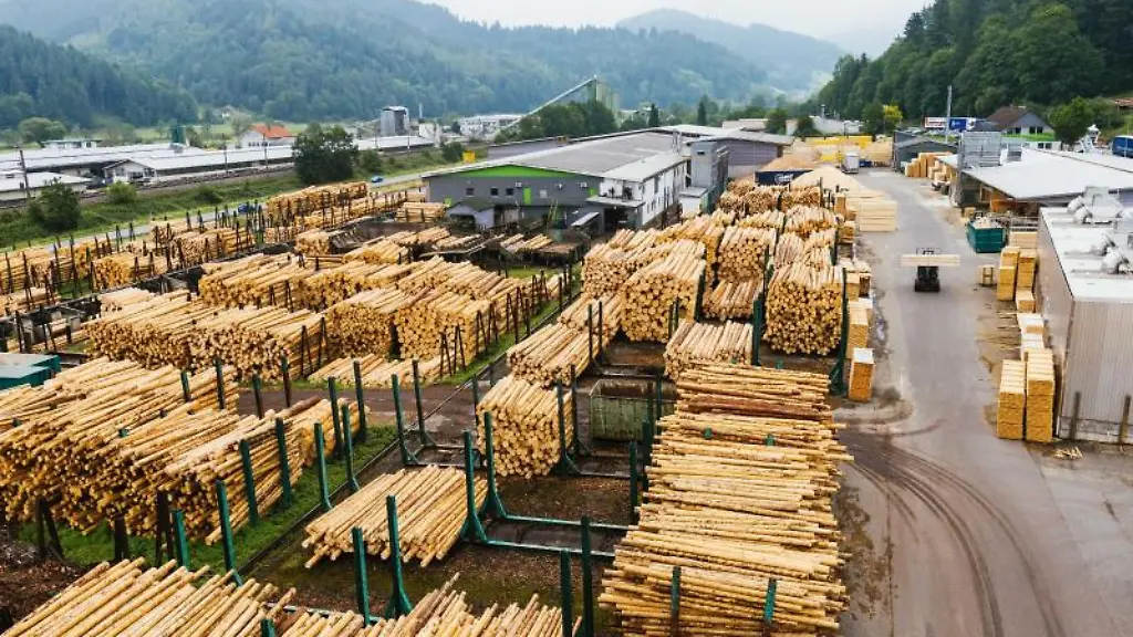 Entrindete-Baumstaemme-liegen-auf-dem-Rundholzplatz