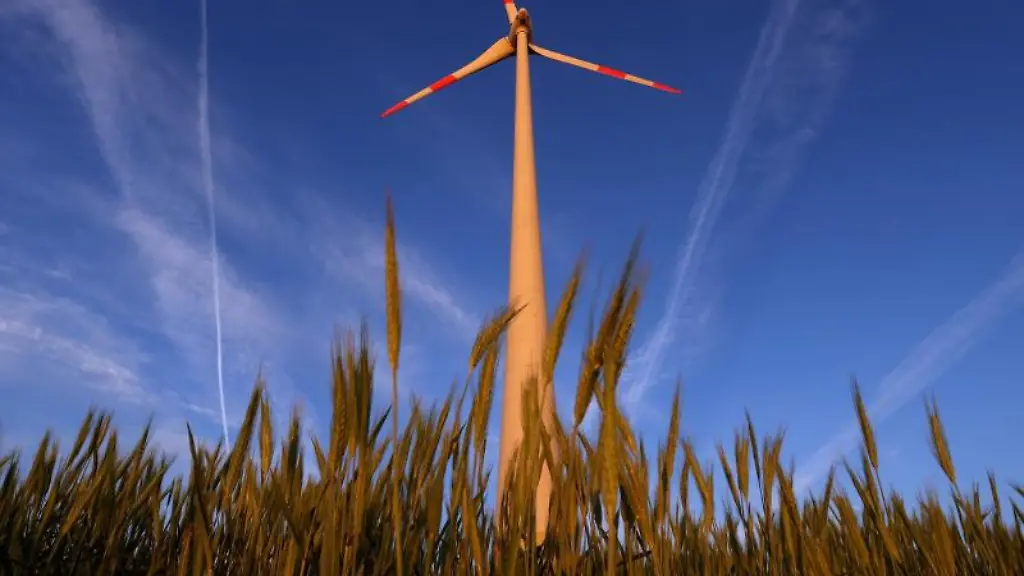 Ein-Windrad-in-einem-Getreidefeld