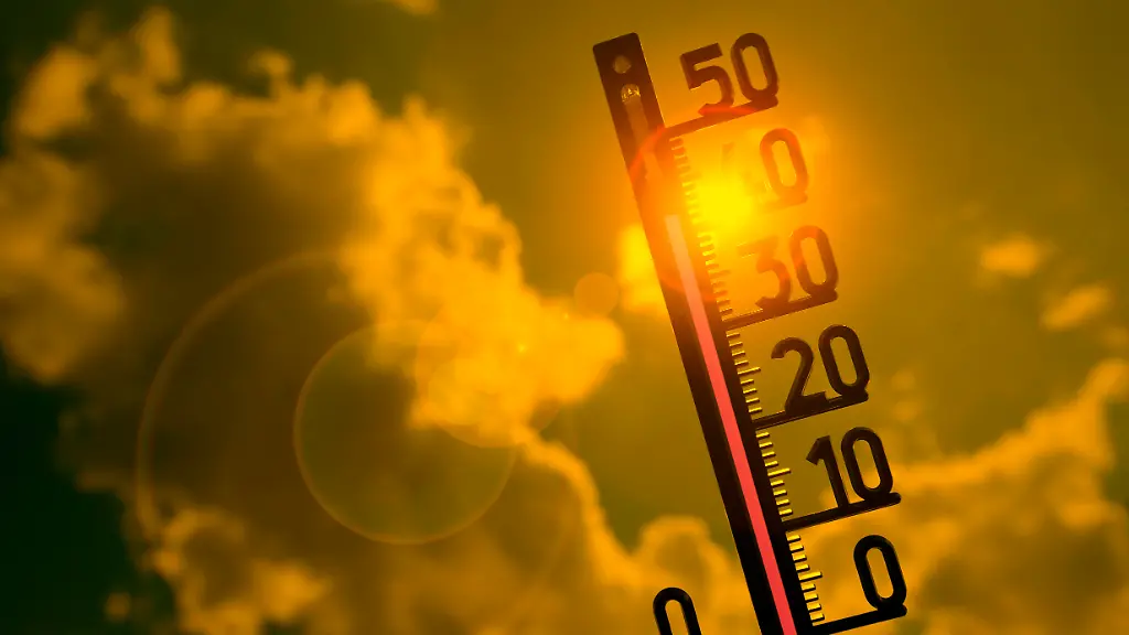 a7835e1b7c7c8161918e27da9a62fcbc