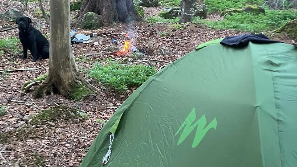 Ein-Zelt-ist-im-Nationalpark-Bayerischer-Wald-aufgebaut