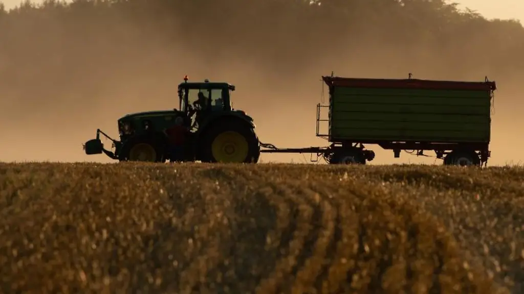 Ein-Traktor-steht-bei-Sonnenuntergang-mit-einem-Anhaenger-auf-einem-abgeernteten-Feld