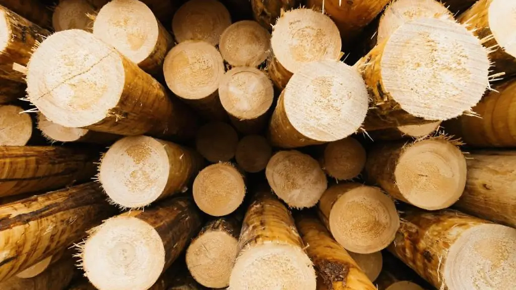 Entrindete-Baumstaemme-liegen-auf-dem-Gelaende-eines-Saegewerks