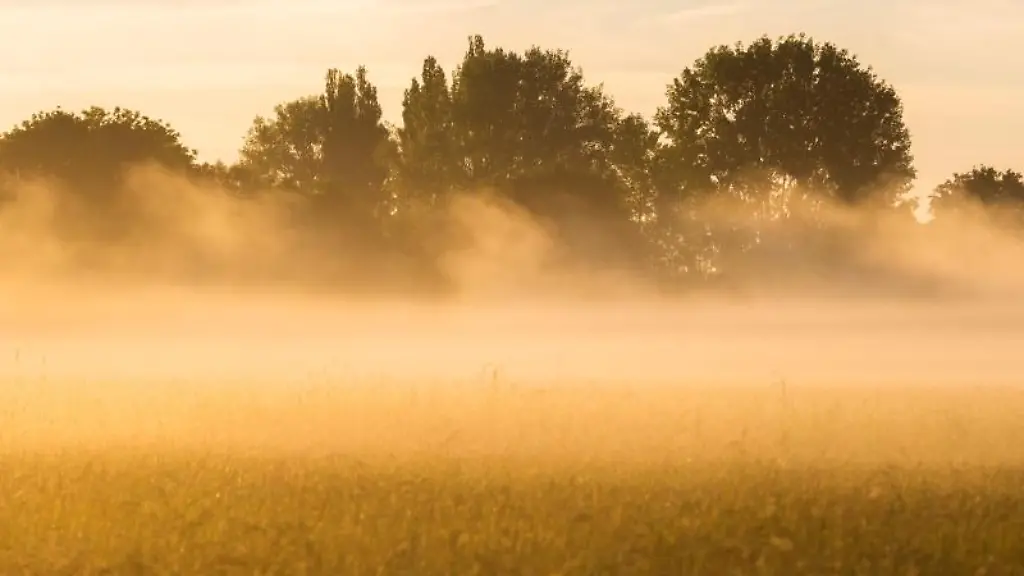 Die-aufgehende-Sonne-taucht-Nebel-in-der-Leinemasch-in-der-Region-Hannover-in-warmes-Licht