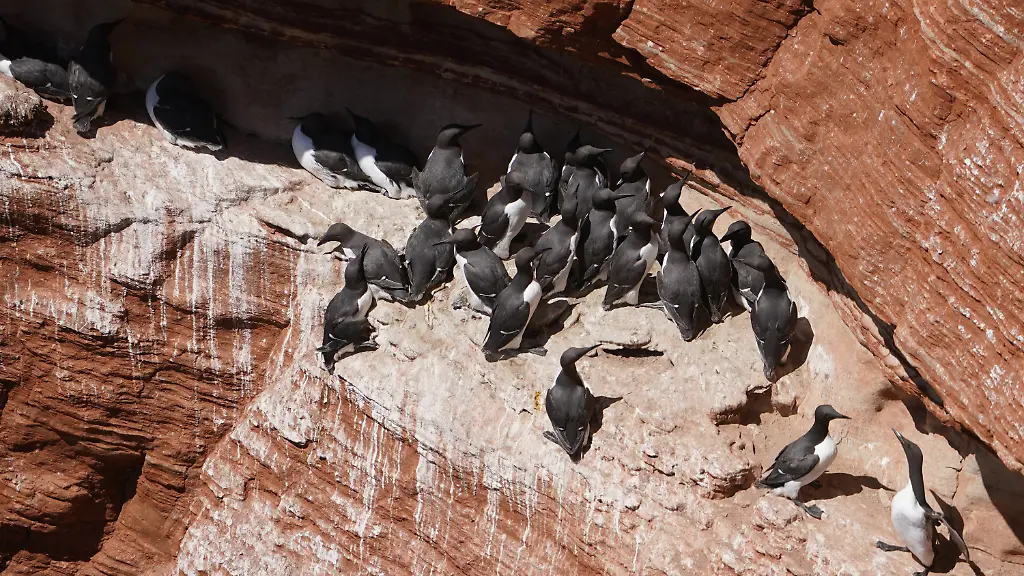 d4c50ae0696f328097c74e3d0218081e