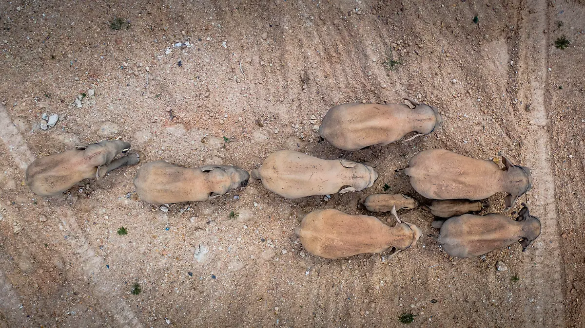 0bccfb0c6578b6f02d8a2d4a4391a5d6