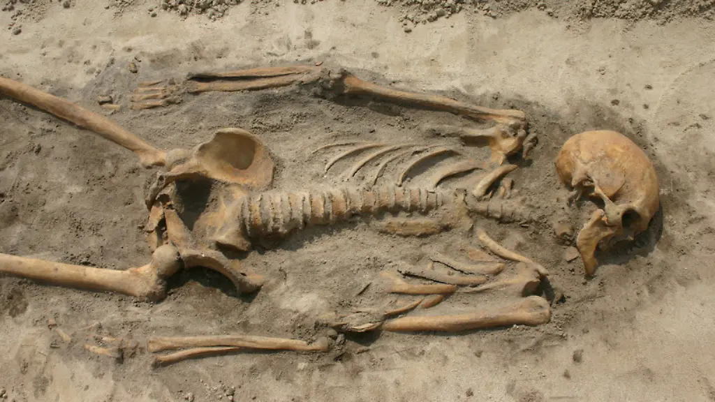 csm-Manden-fra-Galgedil-skelet-2-foto-Odense-Bys-Museer-c3b0e878f8