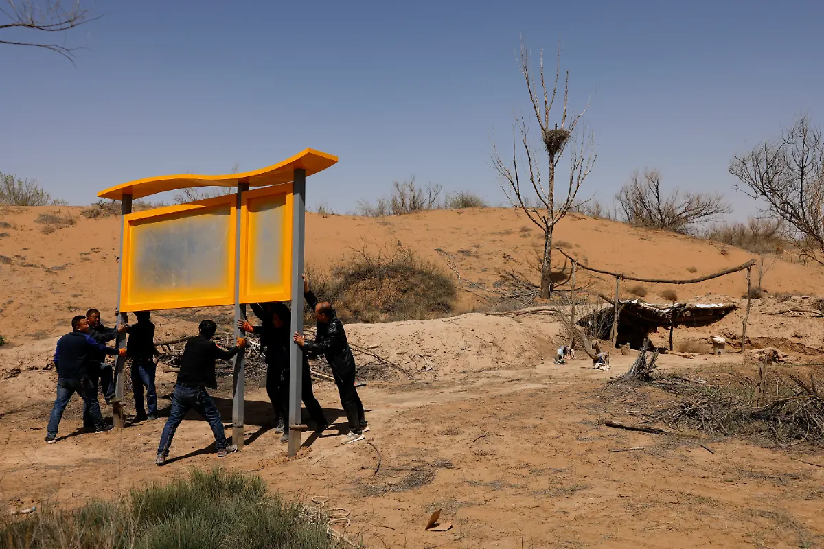 2021-06-02T230037Z-1403026696-RC2TWM9M0PRW-RTRMADP-3-CLIMATE-CHANGE-CHINA-FOREST