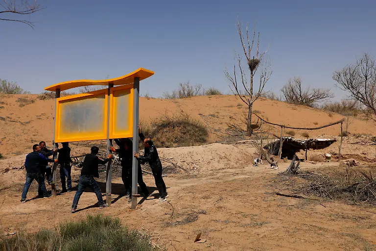 2021-06-02T230037Z-1403026696-RC2TWM9M0PRW-RTRMADP-3-CLIMATE-CHANGE-CHINA-FOREST