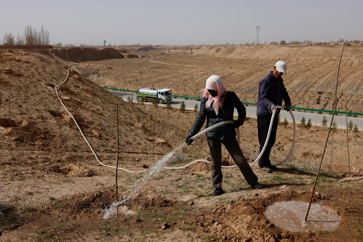 2021-06-02T230035Z-1524142938-RC27WM92C17Z-RTRMADP-3-CLIMATE-CHANGE-CHINA-FOREST