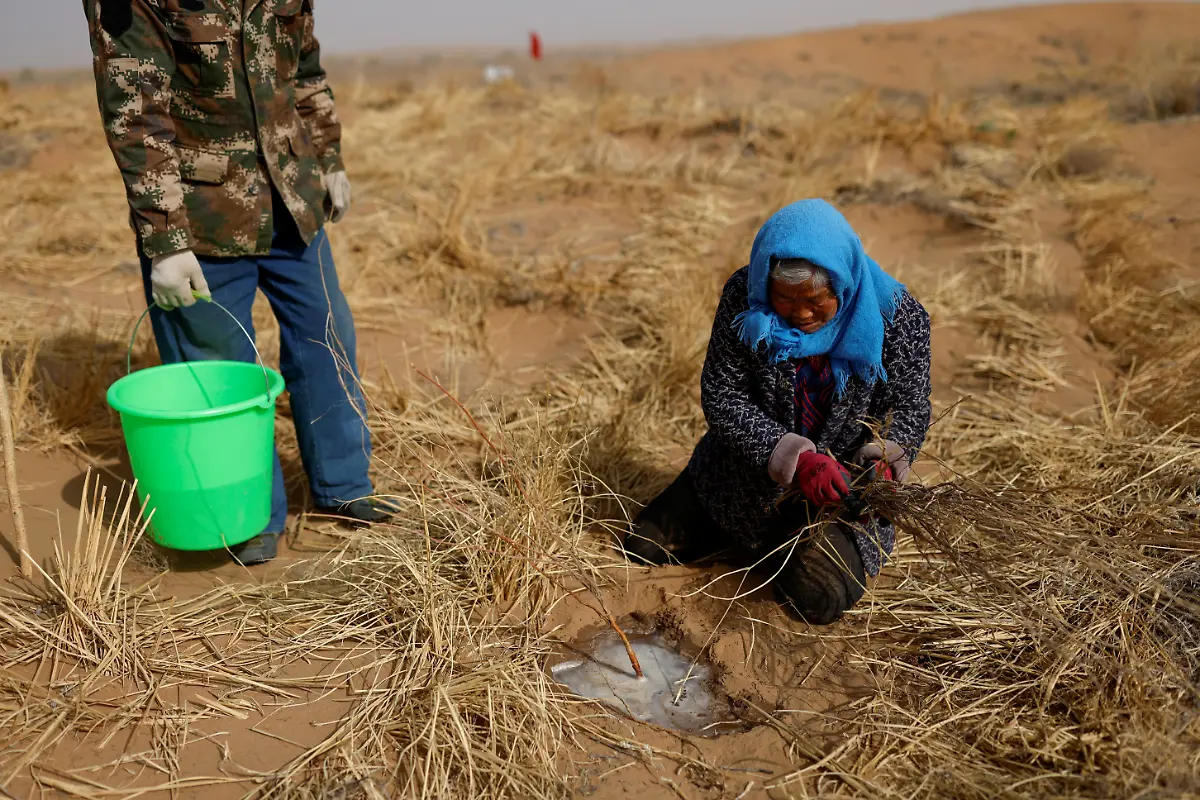 2021-04-15T000000Z-1431083110-RC21WM9YTM3L-RTRMADP-3-CLIMATE-CHANGE-CHINA-FOREST