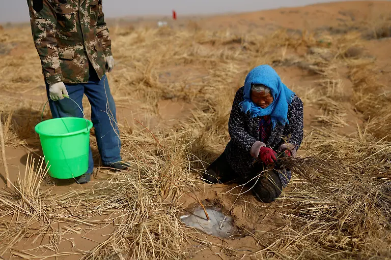 2021-04-15T000000Z-1431083110-RC21WM9YTM3L-RTRMADP-3-CLIMATE-CHANGE-CHINA-FOREST
