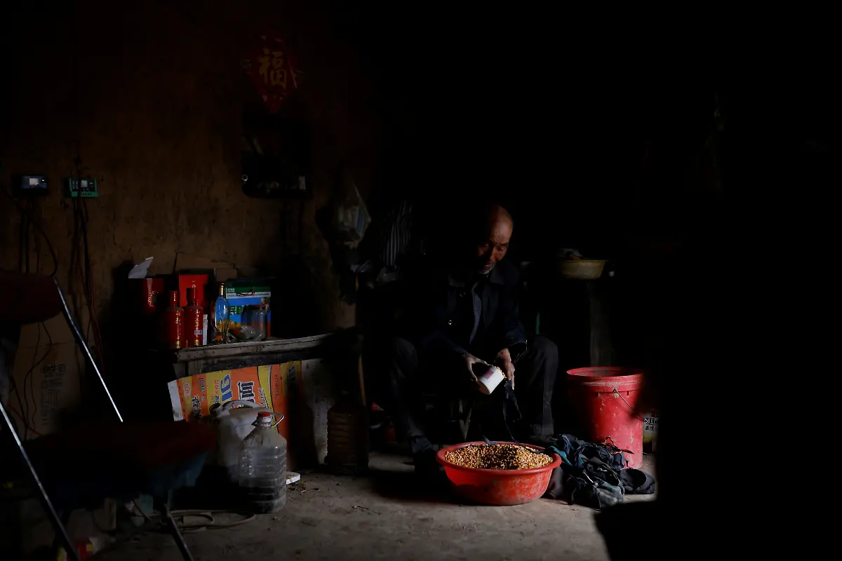 2021-06-03T032208Z-1265036046-RC2AYM9L7IHI-RTRMADP-3-CLIMATE-CHANGE-CHINA-FOREST