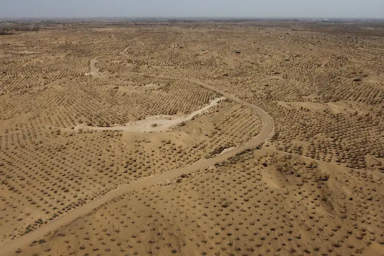 2021-06-02T230102Z-1427010556-RC2RXM9XRHZS-RTRMADP-3-CLIMATE-CHANGE-CHINA-FOREST