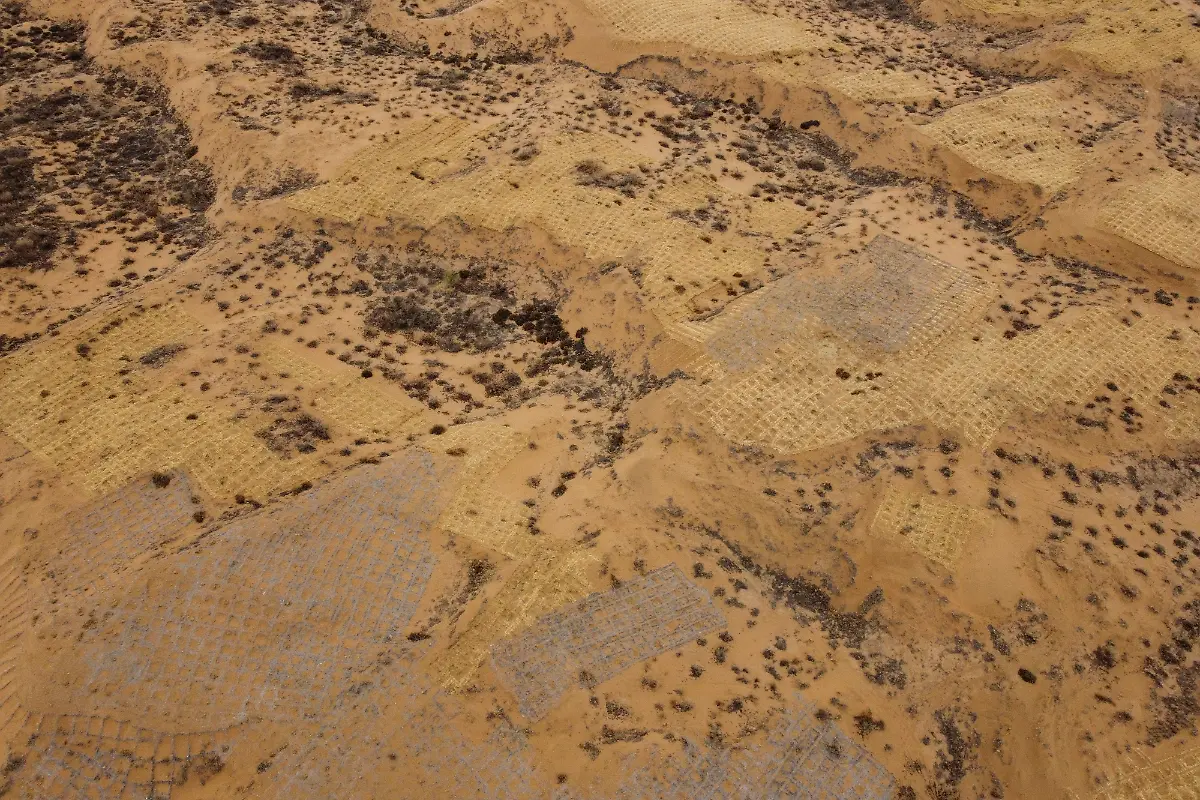 2021-06-02T230126Z-1674486415-RC2QVM9454YZ-RTRMADP-3-CLIMATE-CHANGE-CHINA-FOREST