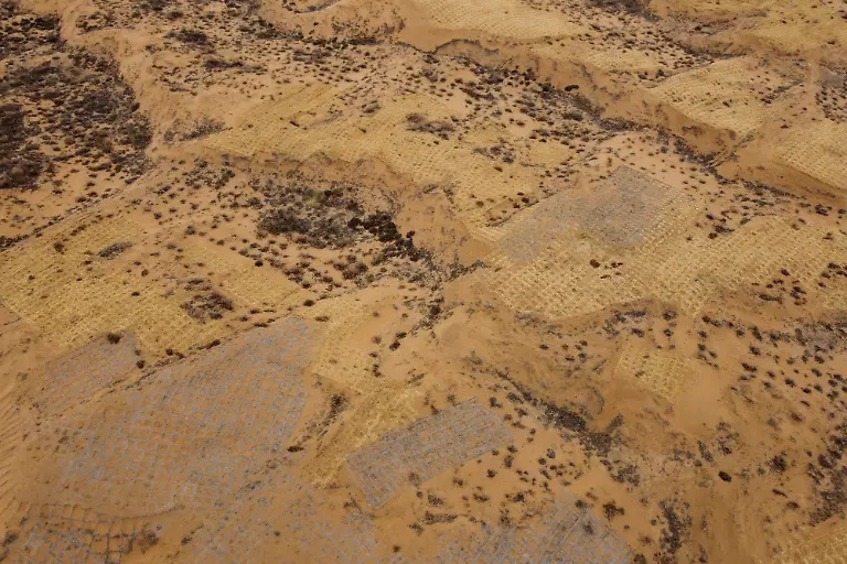 2021-06-02T230126Z-1674486415-RC2QVM9454YZ-RTRMADP-3-CLIMATE-CHANGE-CHINA-FOREST