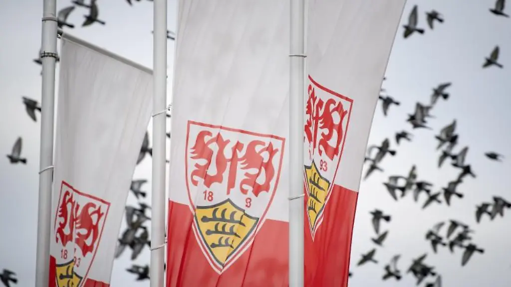 Flaggen-mit-dem-Logo-des-Fussball-Bundesligisten-VfB-Stuttgart-wehen-im-Wind