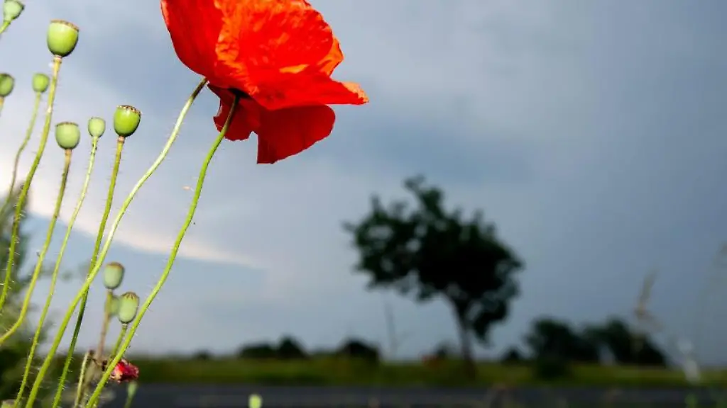 Dunkle-Wolken-ziehen-auf