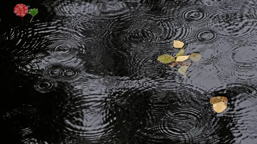Regentropfen-erzeugen-Ringe-auf-einer-Wasseroberflaeche