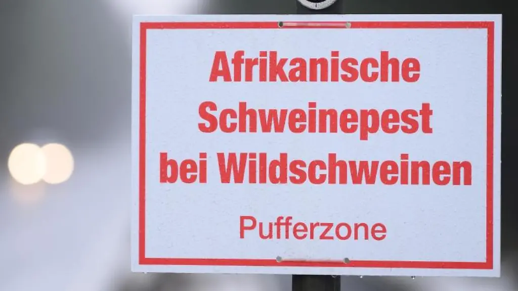 Ein-Schild-mit-der-Aufschrift-Afrikanische-Schweinepest-bei-Wildschweinen-Pufferzone