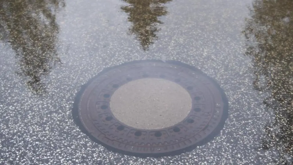 Baeume-spiegeln-sich-im-Wasser-eines-ueberschwemmten-Gullydeckels