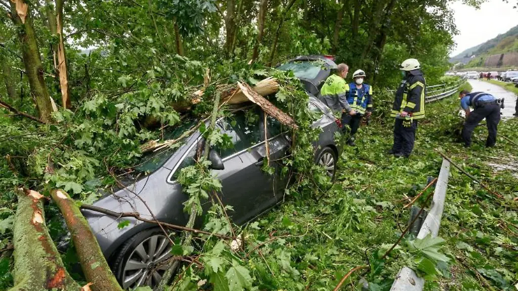 Feuerwehrleute-stehen-hinter-einem-Fahrzeug-das-von-umstuerzenden-Baeumen-begraben-wurde