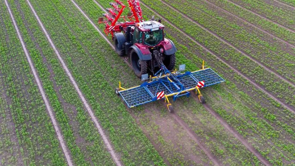 Ein-Landwirt-faehrt-mit-seinem-Trecker-ueber-ein-Hanffeld