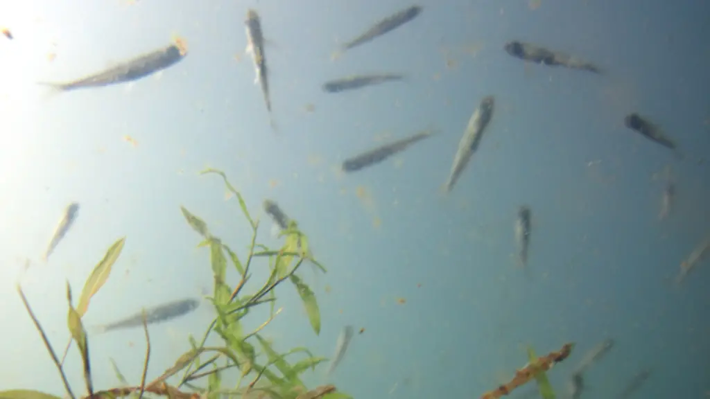 ACHTUNG-Frei-nur-im-Zusammenhang-mit-der-Berichterstattung-ueber-die-Studie