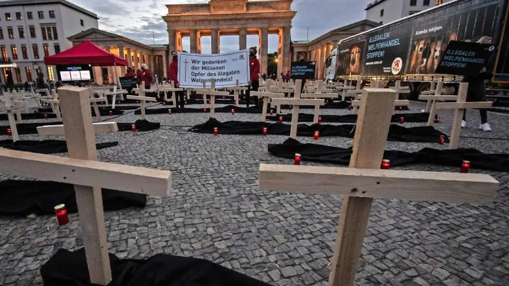 Zahlreiche-Holzkreuze-und-Grablichter-stehen-auf-dem-Pariser-Platz-vor-dem-Brandenburger-Tor