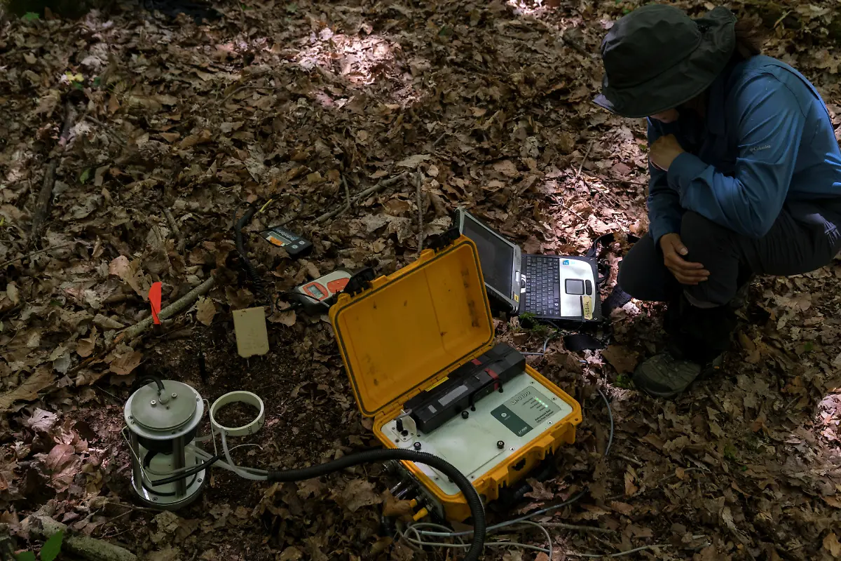 2021-05-22T065116Z-800824523-RC2IKN98XLNT-RTRMADP-3-USA-CICADAS