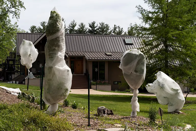 2021-05-22T064126Z-1731431093-RC2KKN90UN41-RTRMADP-3-USA-CICADAS