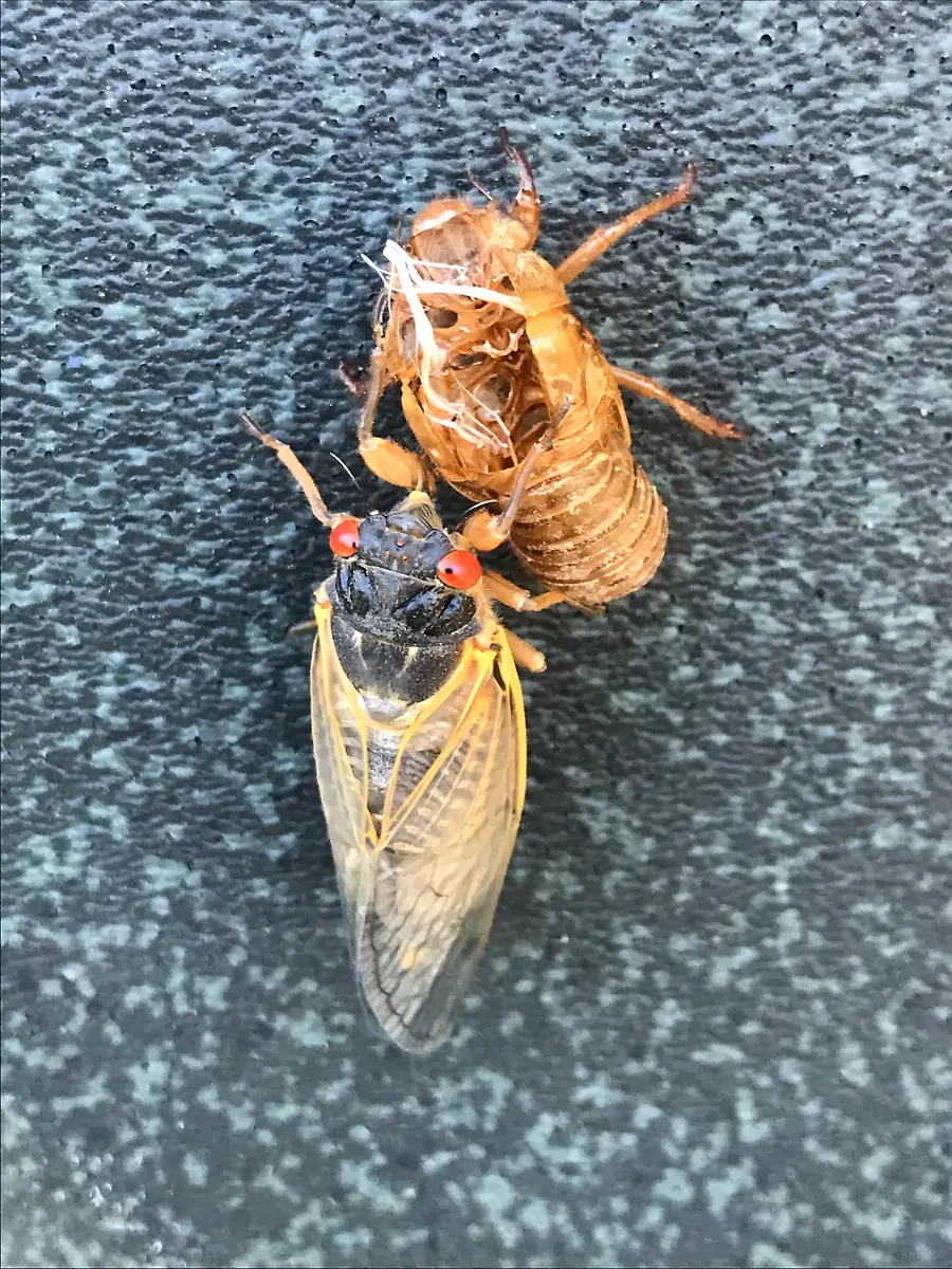 a74d58643592984aae0c0e40055ee62d