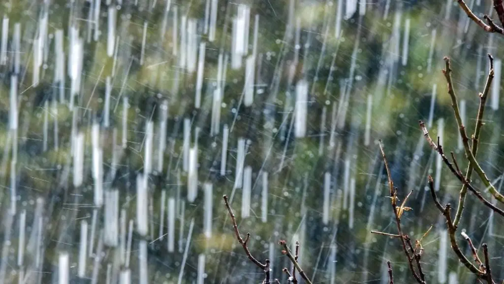 Starkregen-mit-Hagel-faellt-vor-einer-Hecke