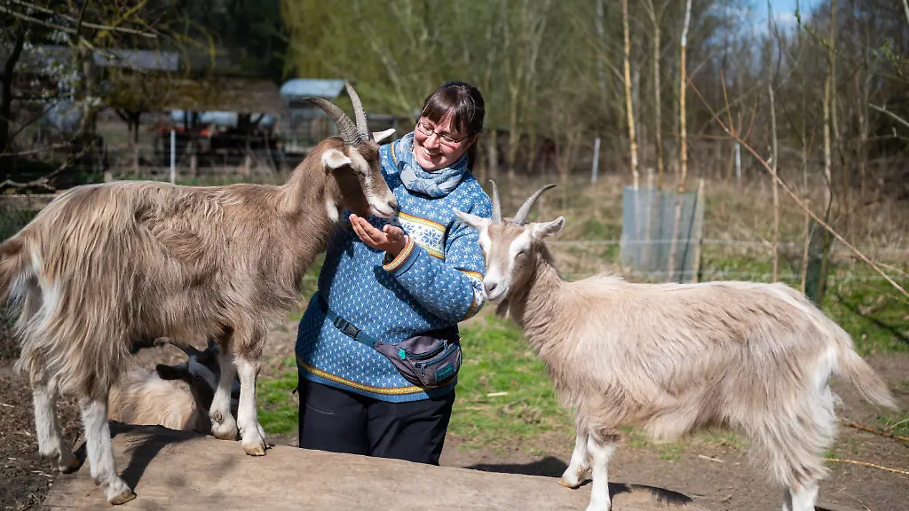 3222ca2ff4e7d062e4532b970ac0832f