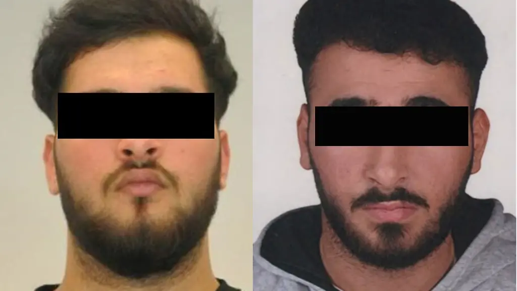 gruenes-gewoelbe-Kopie