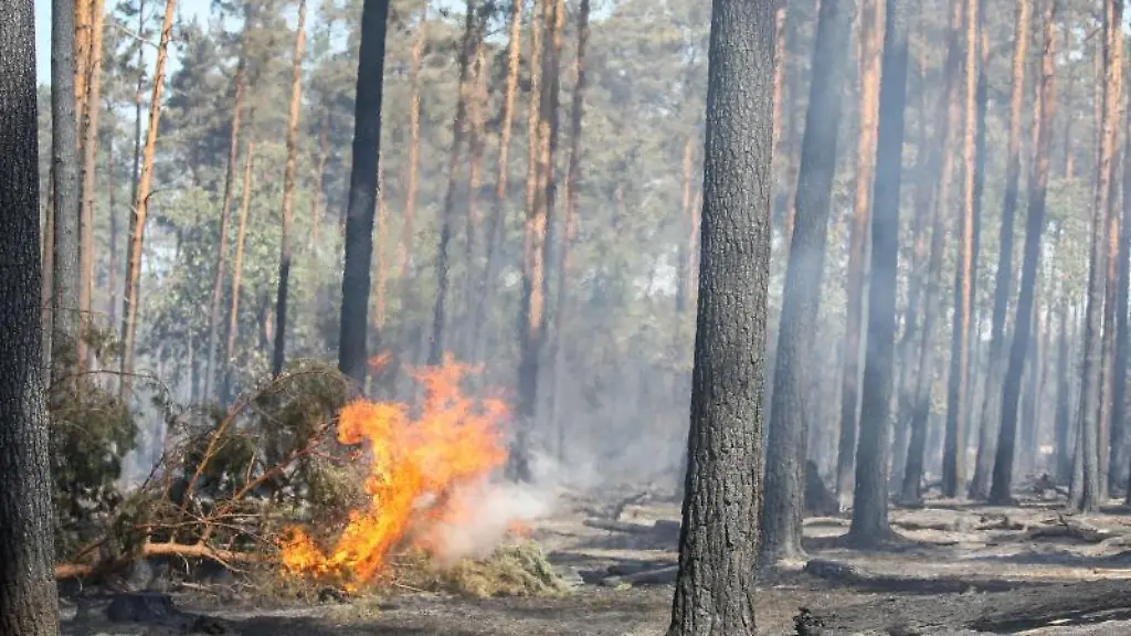 Letzte-Feuer-lodern-nach-einem-Waldbrand